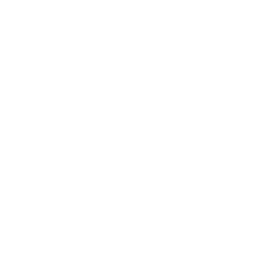 reiki dojo weiss (1)